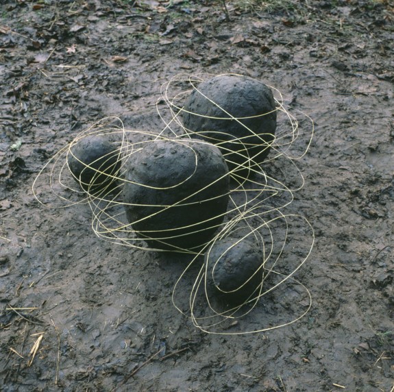 Buy research paper online andy goldsworthy